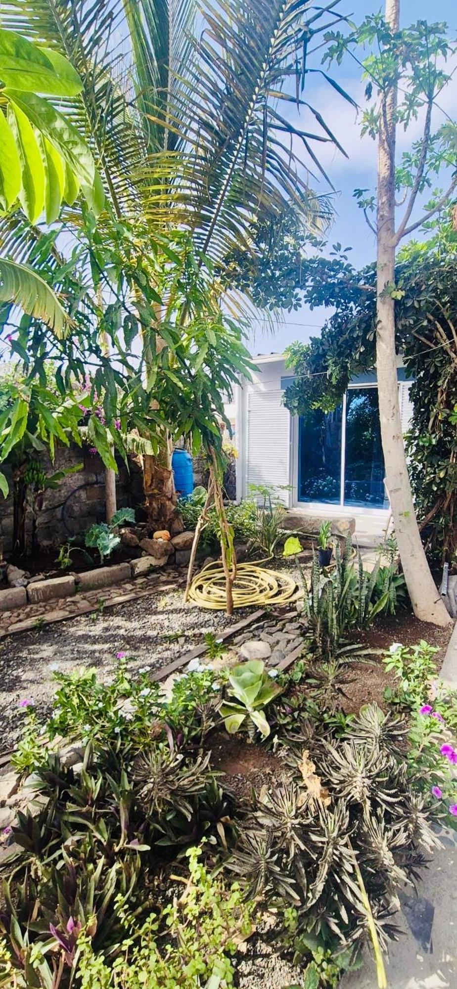 Casa Chiquinha Leilighet Ribeira da Prata Eksteriør bilde