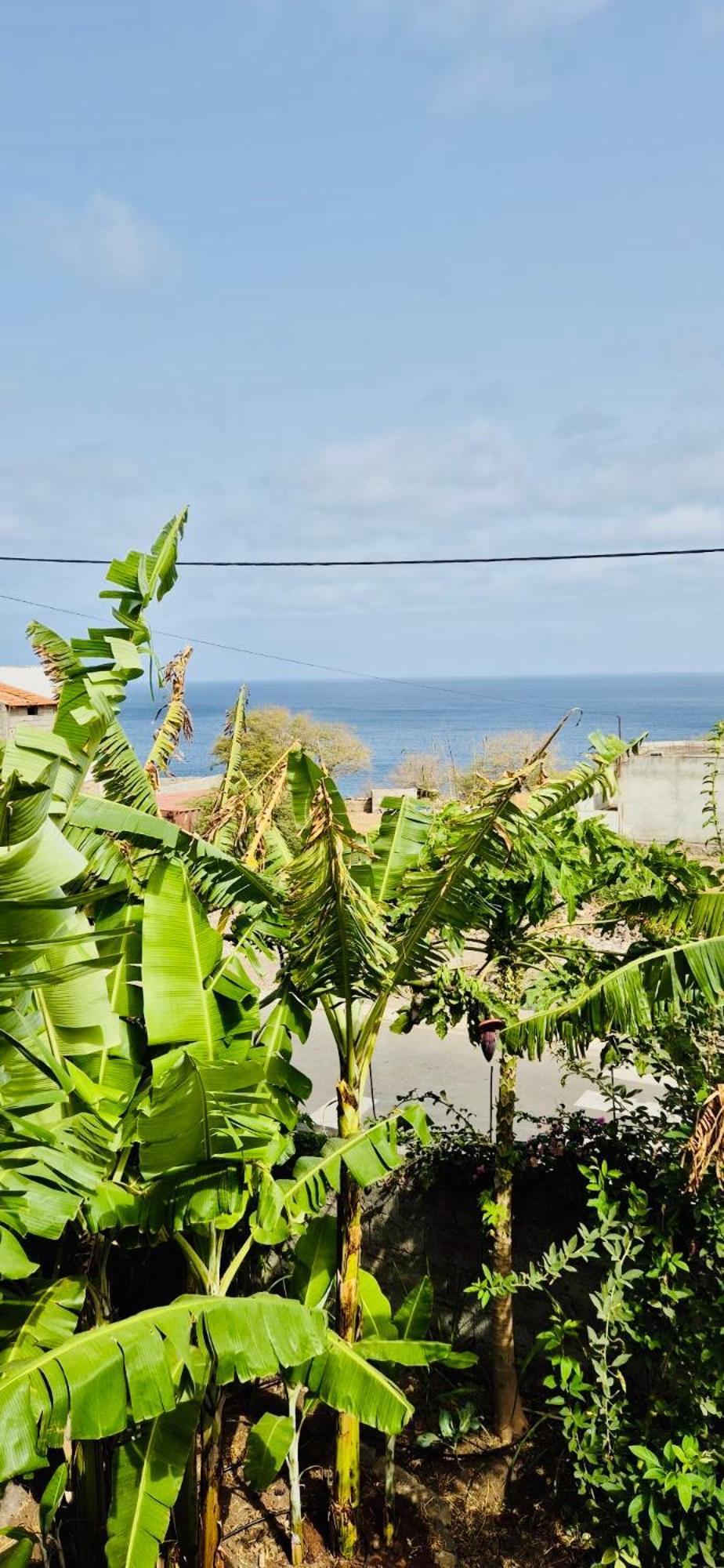 Casa Chiquinha Leilighet Ribeira da Prata Eksteriør bilde